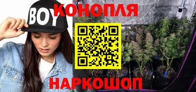 гидропоника Усть-Джегута