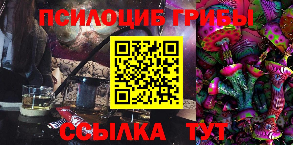 Камышлов  Галлюциногенные грибы Psilocybine cubensis  Вход с VPN  Галлюциногенные грибы мухоморы 